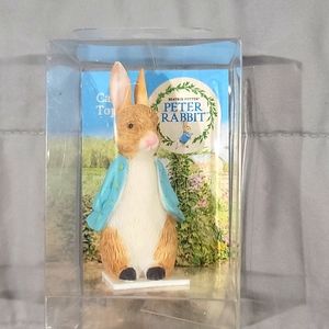 Peter Rabbit Cake Toper